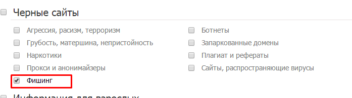 Реферат по теме Мой личный сервер DNS Реферат по теме Мой личный сервер DNS