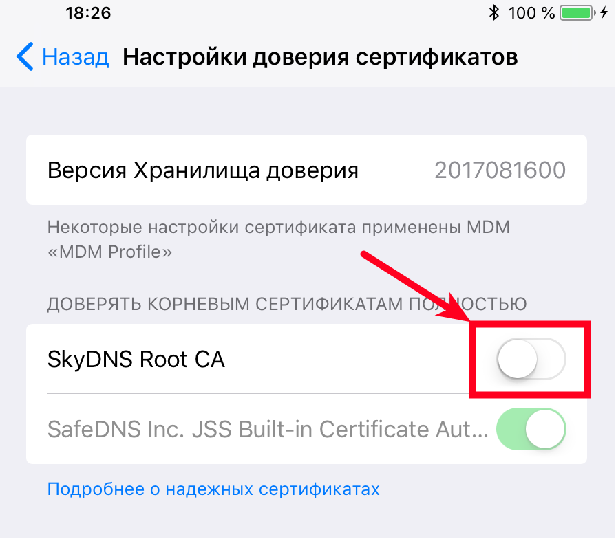 Сертификат безопасности на iphone. Где сертификаты на iphone. Доверять сертификатам на айфоне. Iphone добавить сертификат.