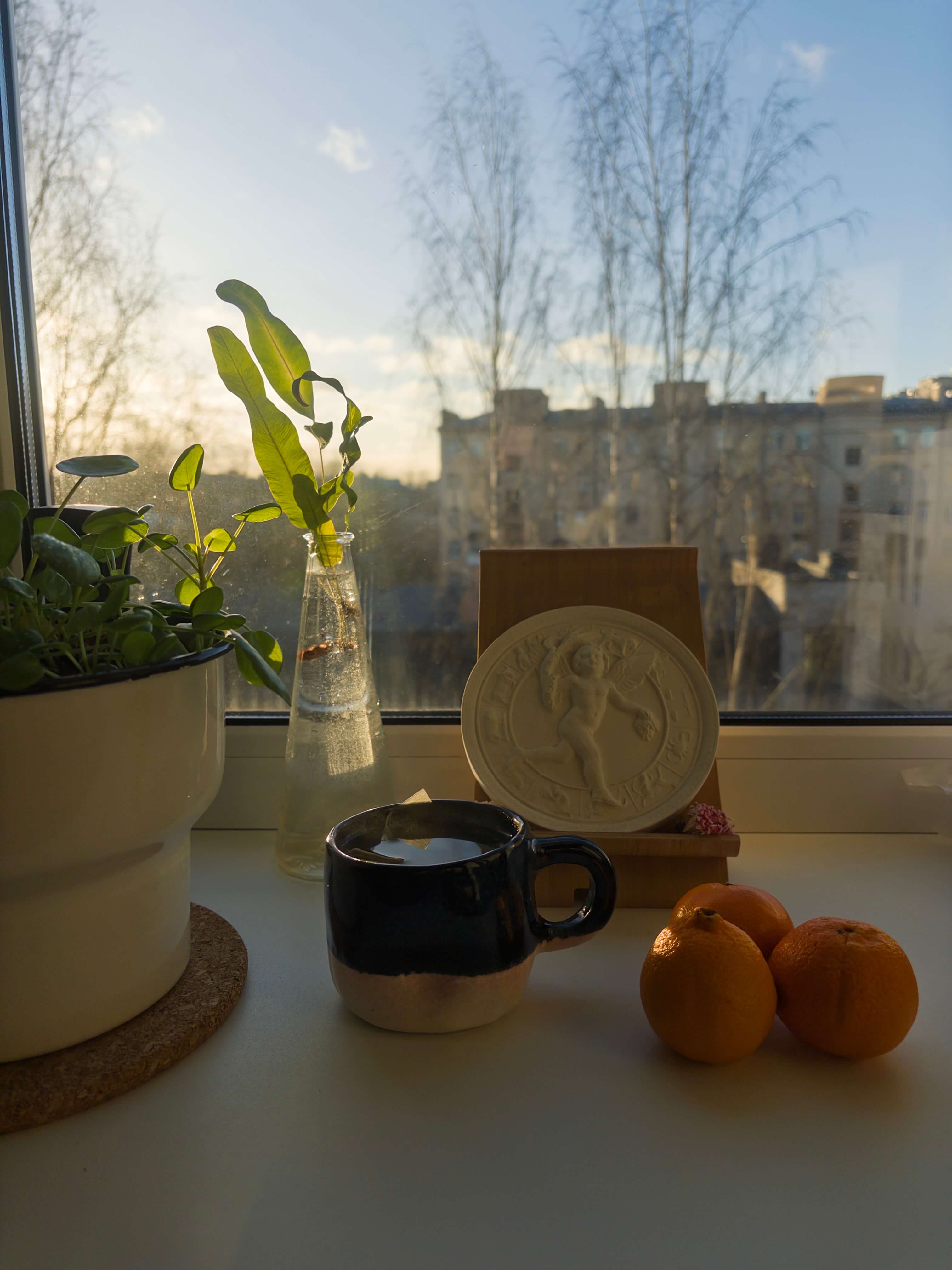 альтернативный текст 2