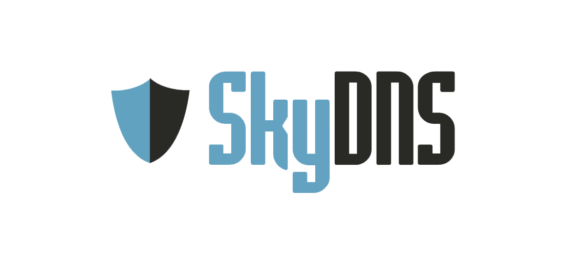 SKYDNS. SKYDNS лого. Контент-фильтр SKYDNS. Интернет фильтр SKYDNS.школа. Скай днс